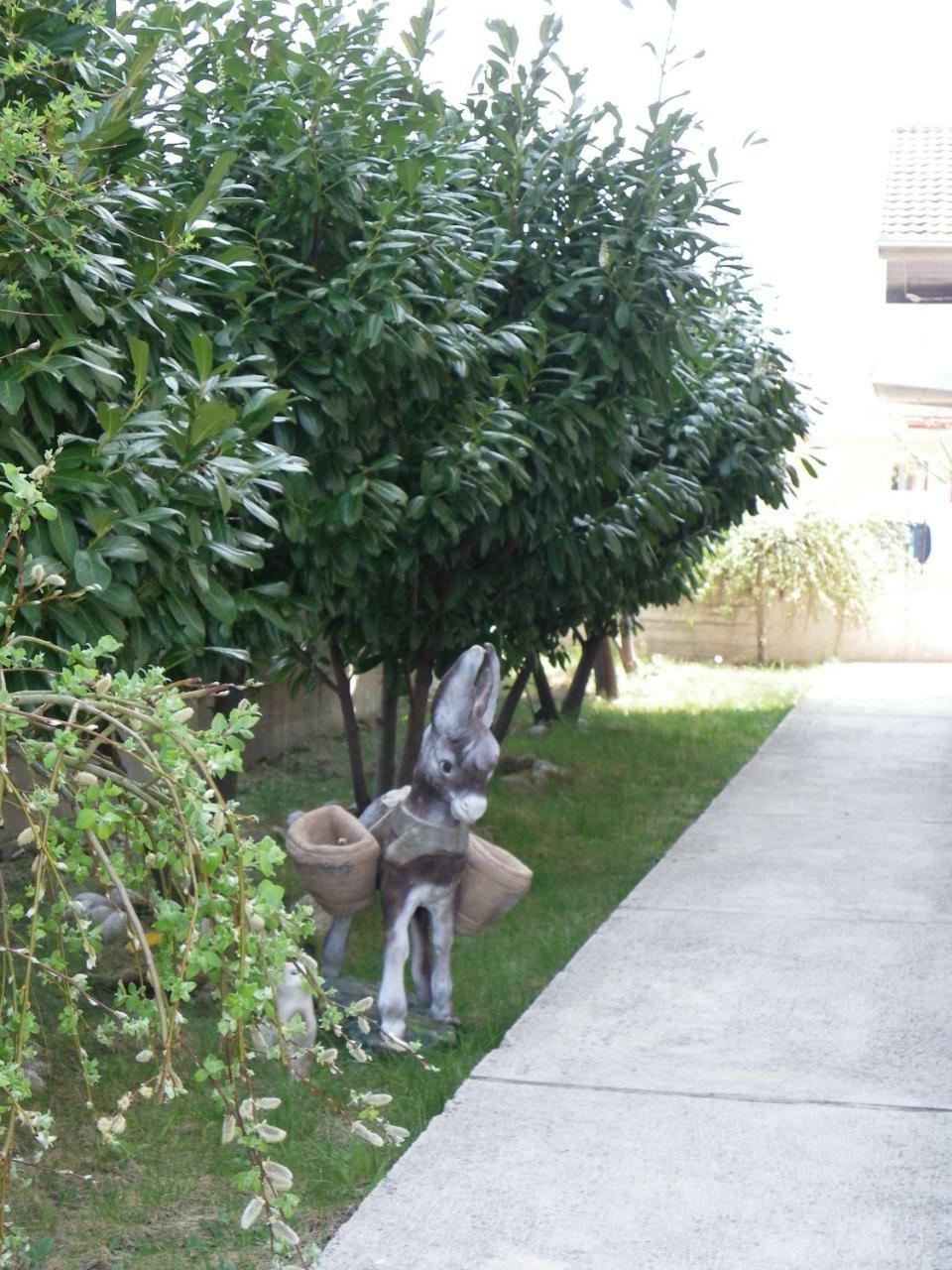 Anika Apartamento Trebinje Exterior foto